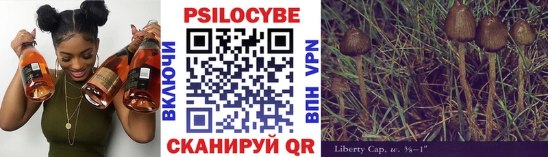 Галлюциногенные грибы Cubensis Называевск
