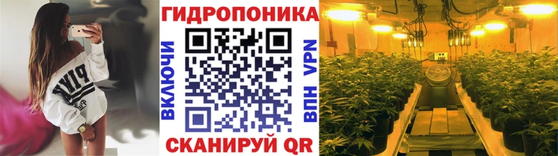 дарнет шоп  Называевск  Шишки марихуана THC 21% 